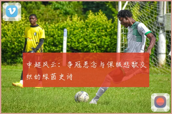 中超风云：争冠悬念与保级悲歌交织的绿茵史诗